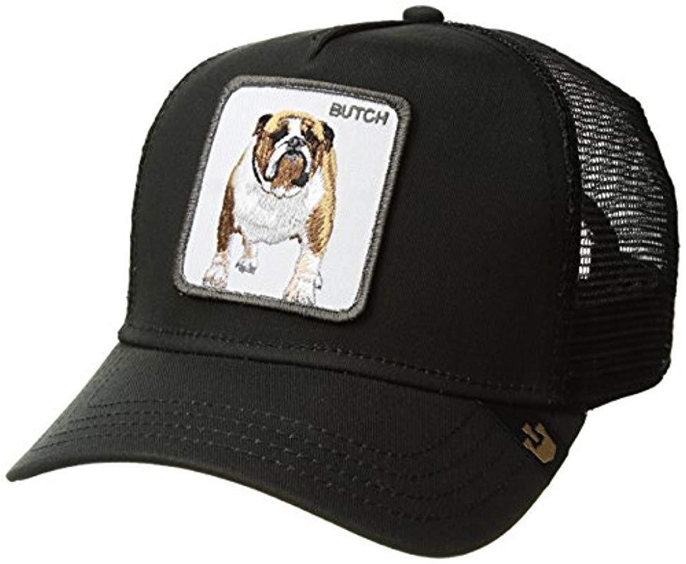 Animal Farm Trucker Hat 