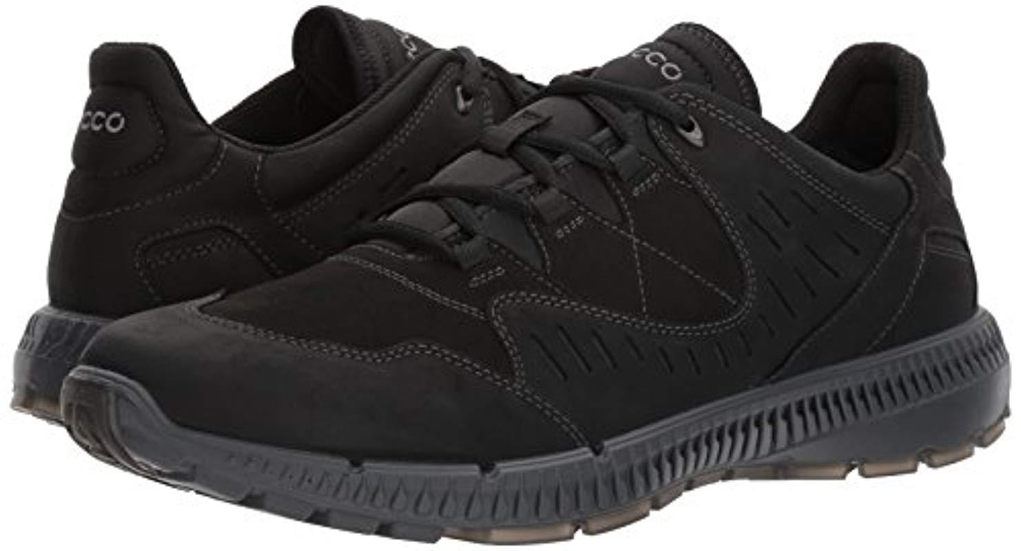 ecco terrawalk