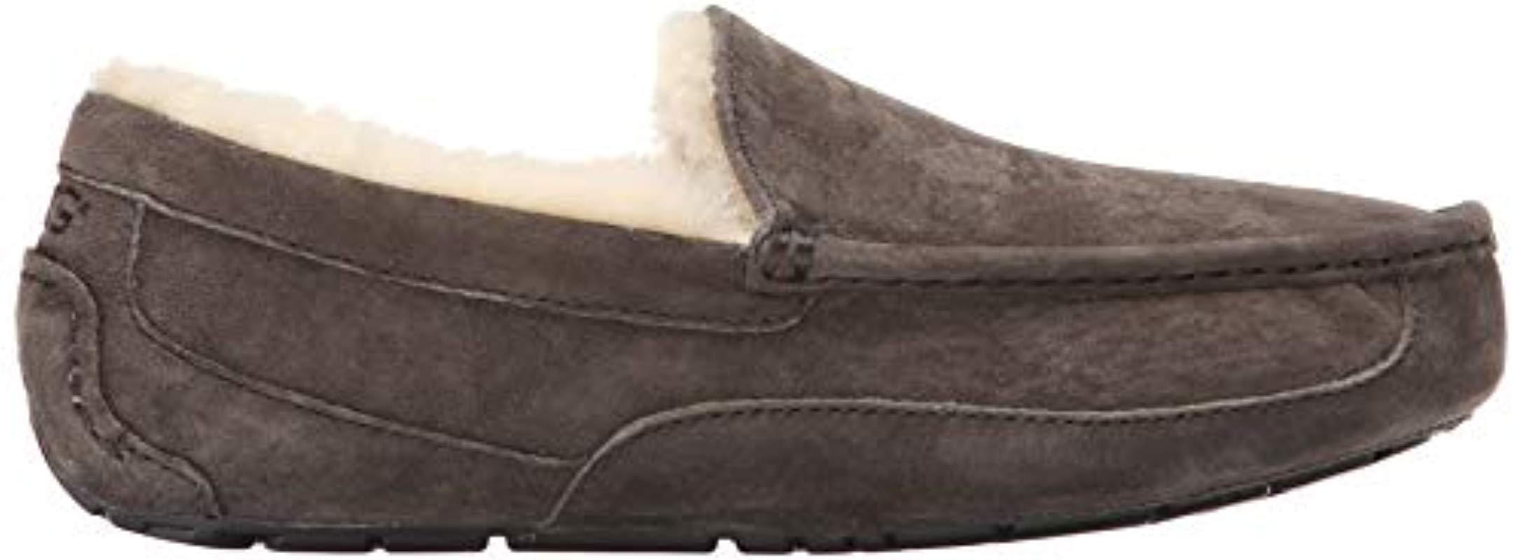 ugg ascot charcoal