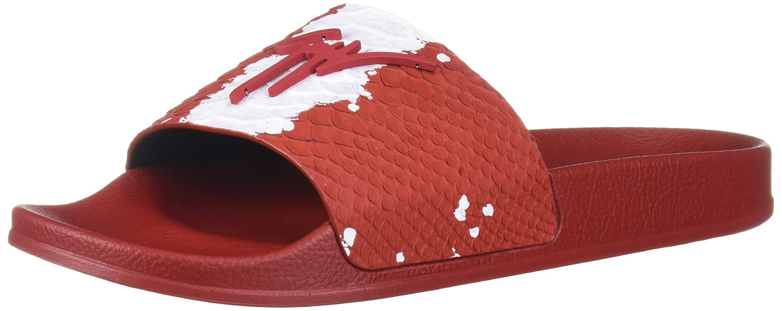 zanotti slides