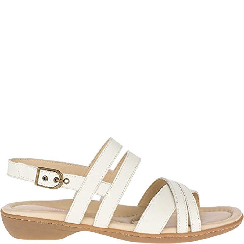 hush puppies dachshund strappy