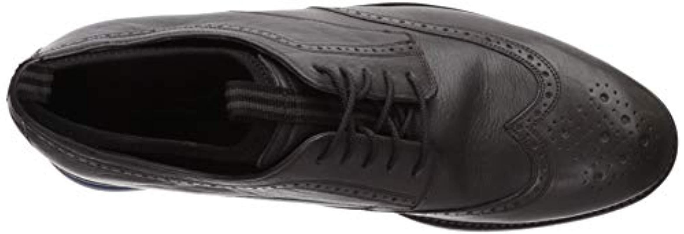 holland long wing oxford