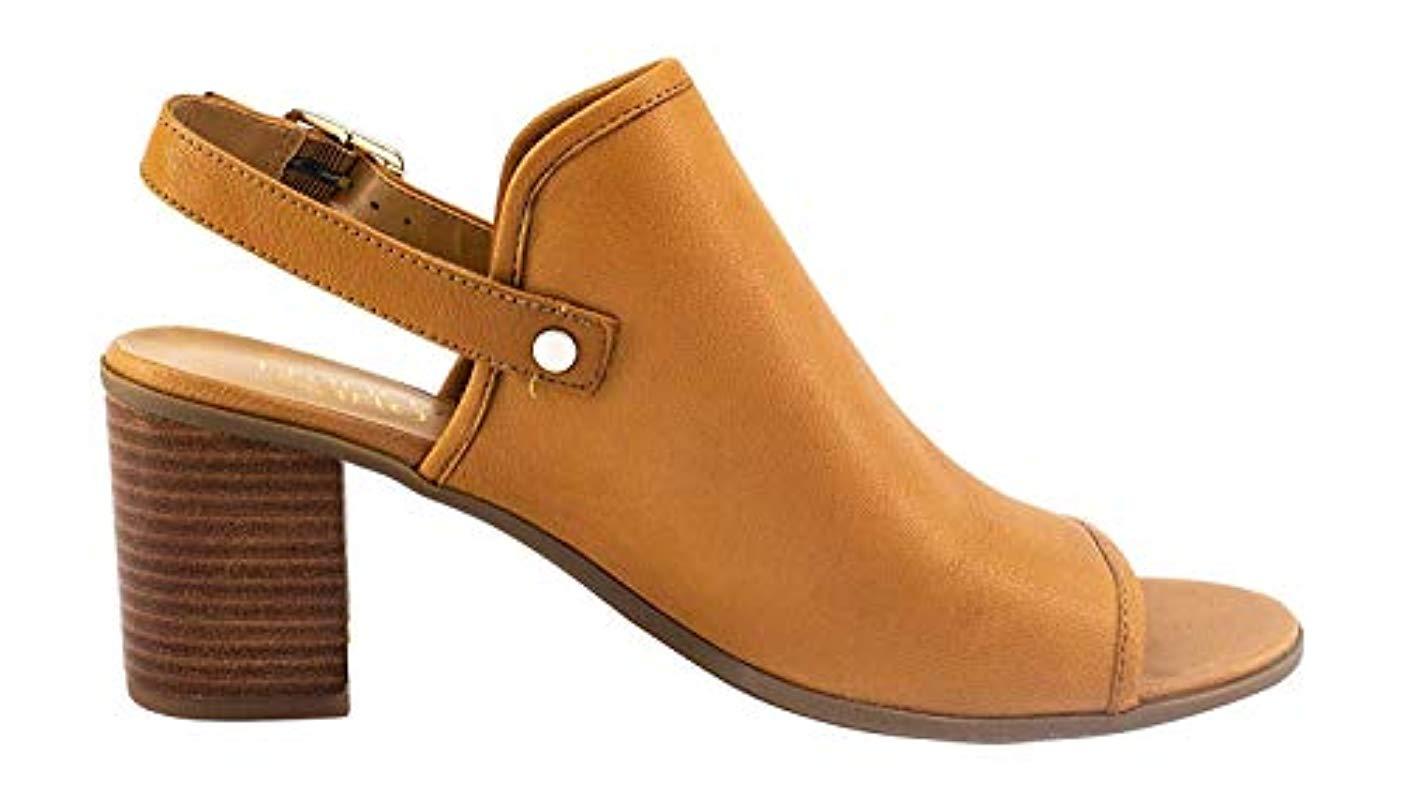 franco sarto humour