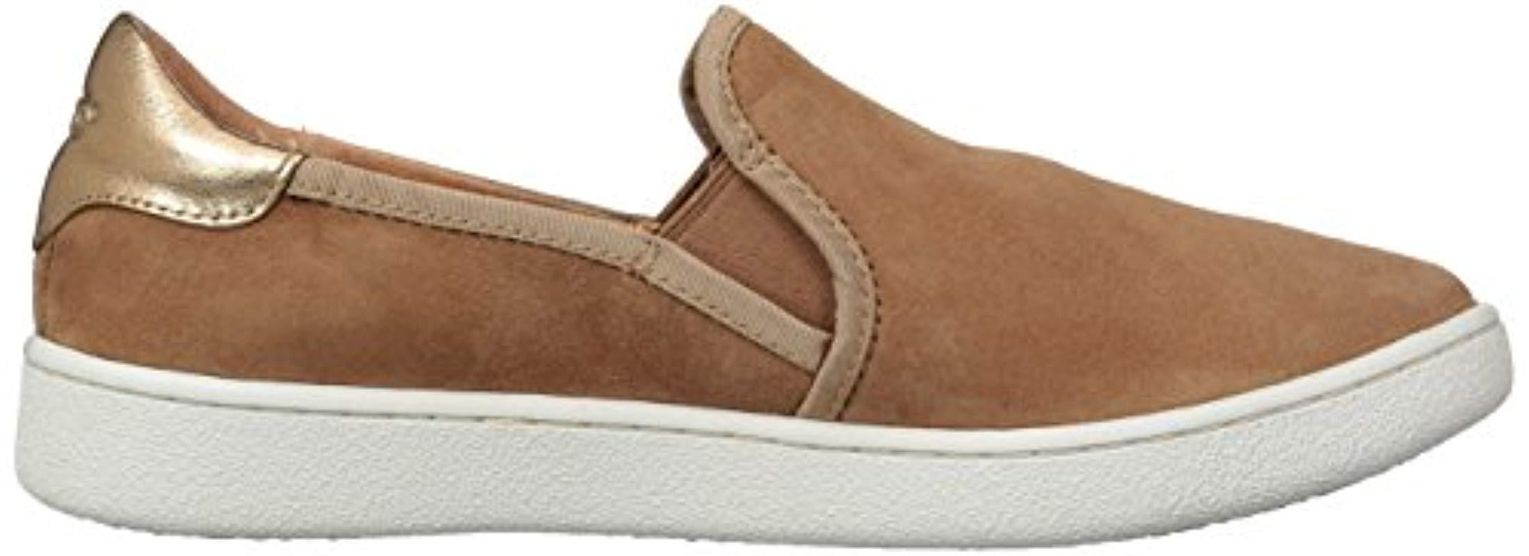 ugg chestnut sneaker