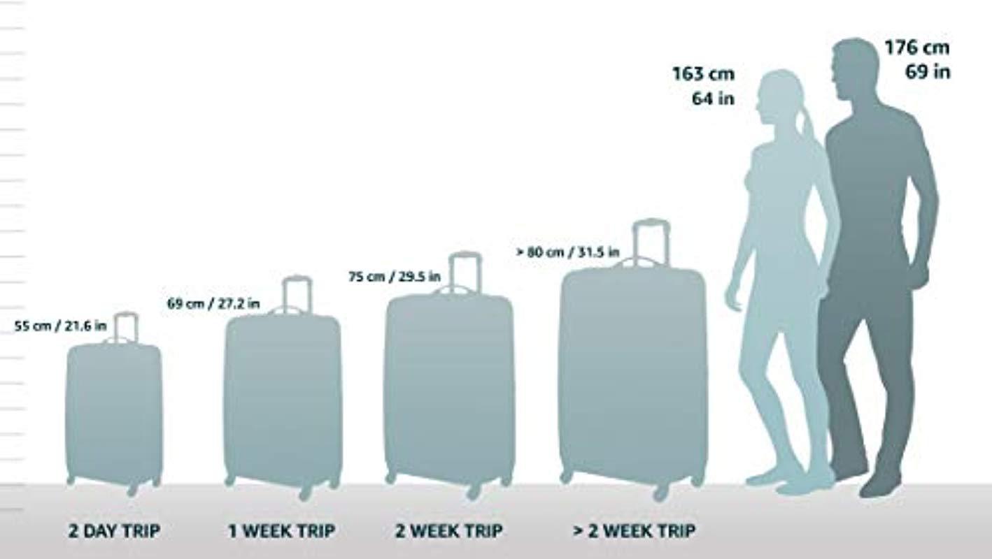 Jessica simpson carry sales on luggage dimensions