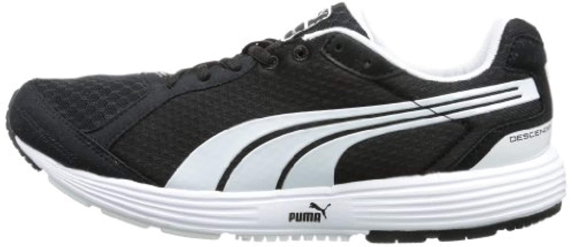 puma descendant