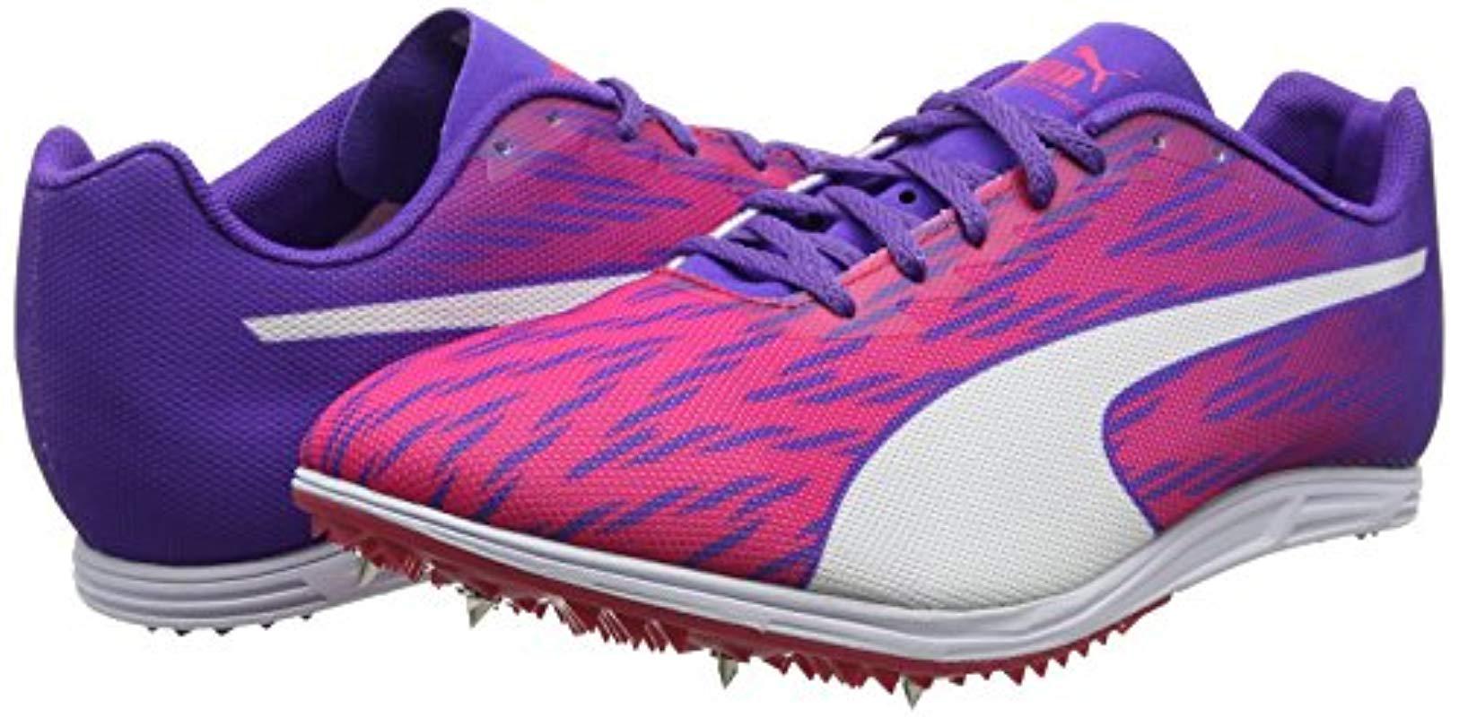 منقار تضحية نيبو puma evospeed 7 - muradesignco.com