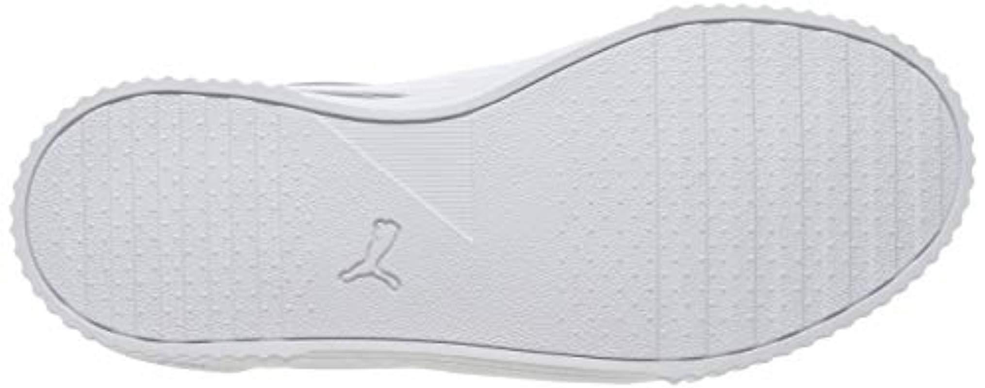 puma carina tradewinds