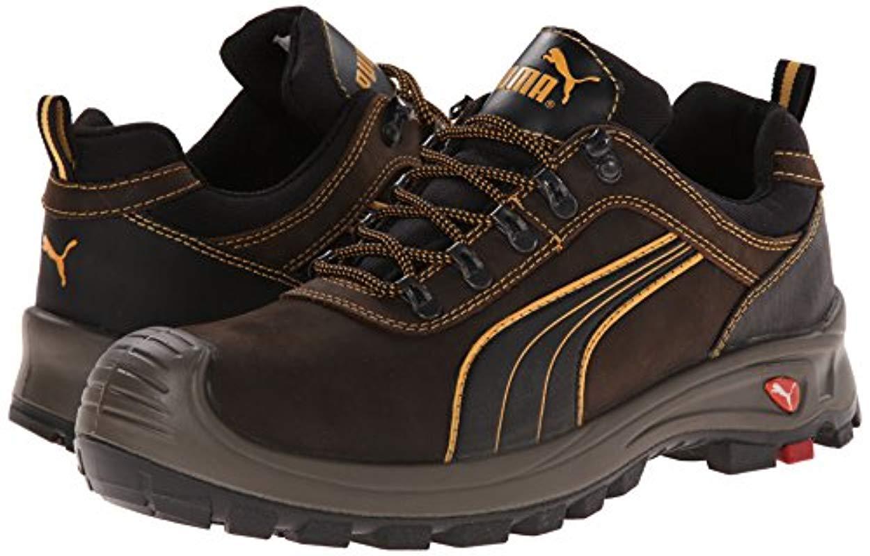 puma sierra nevada mid