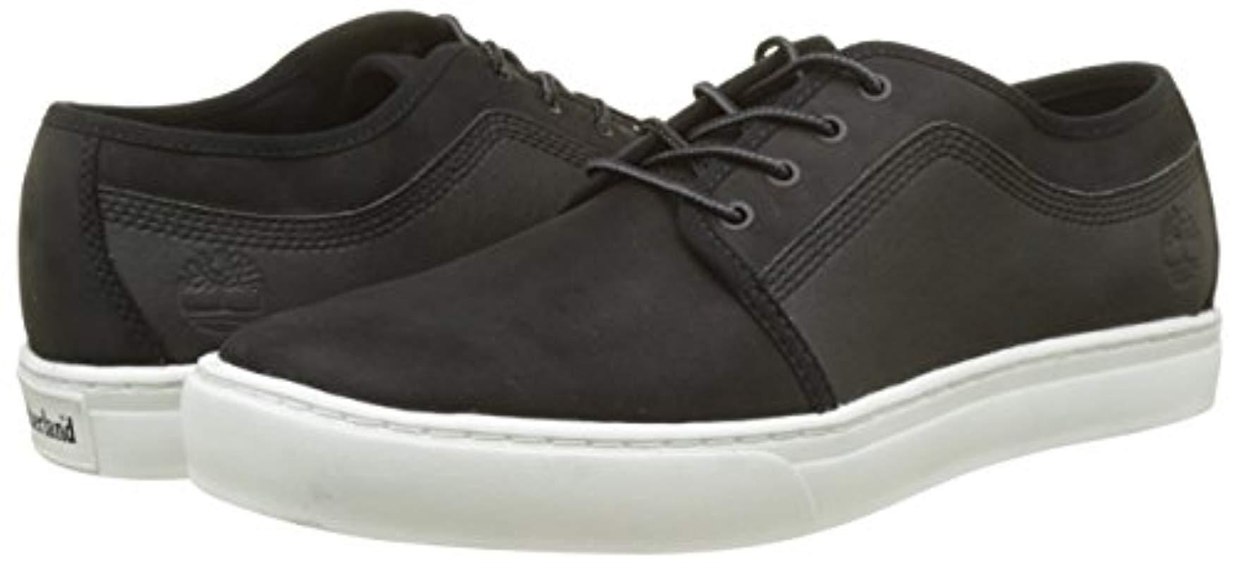 timberland dauset oxford