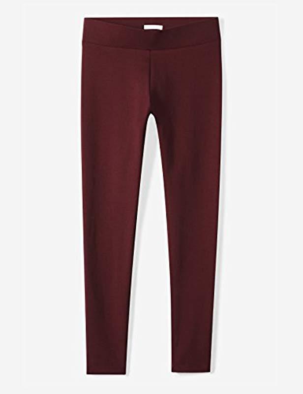 daily ritual ponte knit legging