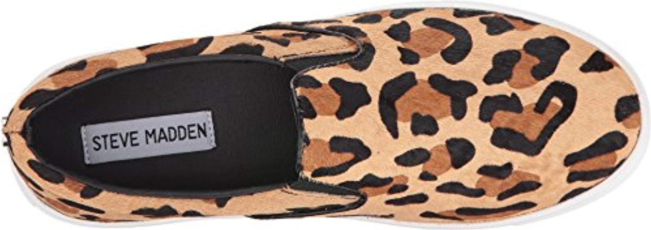 steve madden ecentrcl sneaker