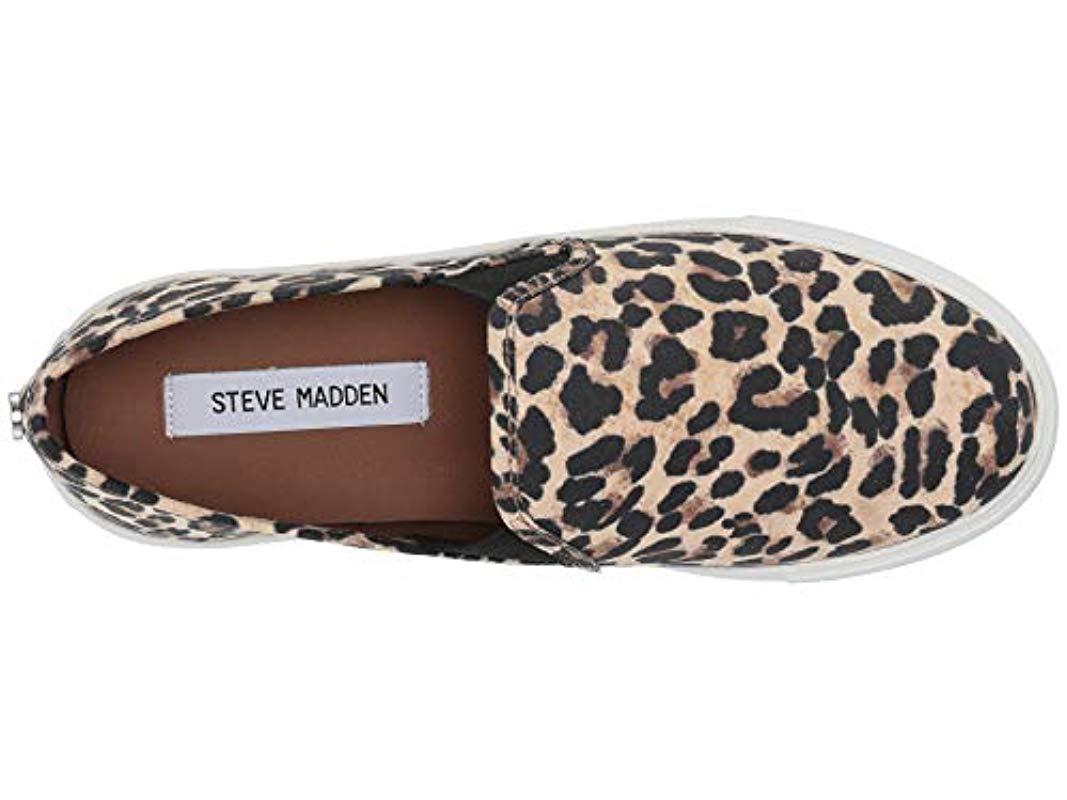 steve madden safary leopard sneakers
