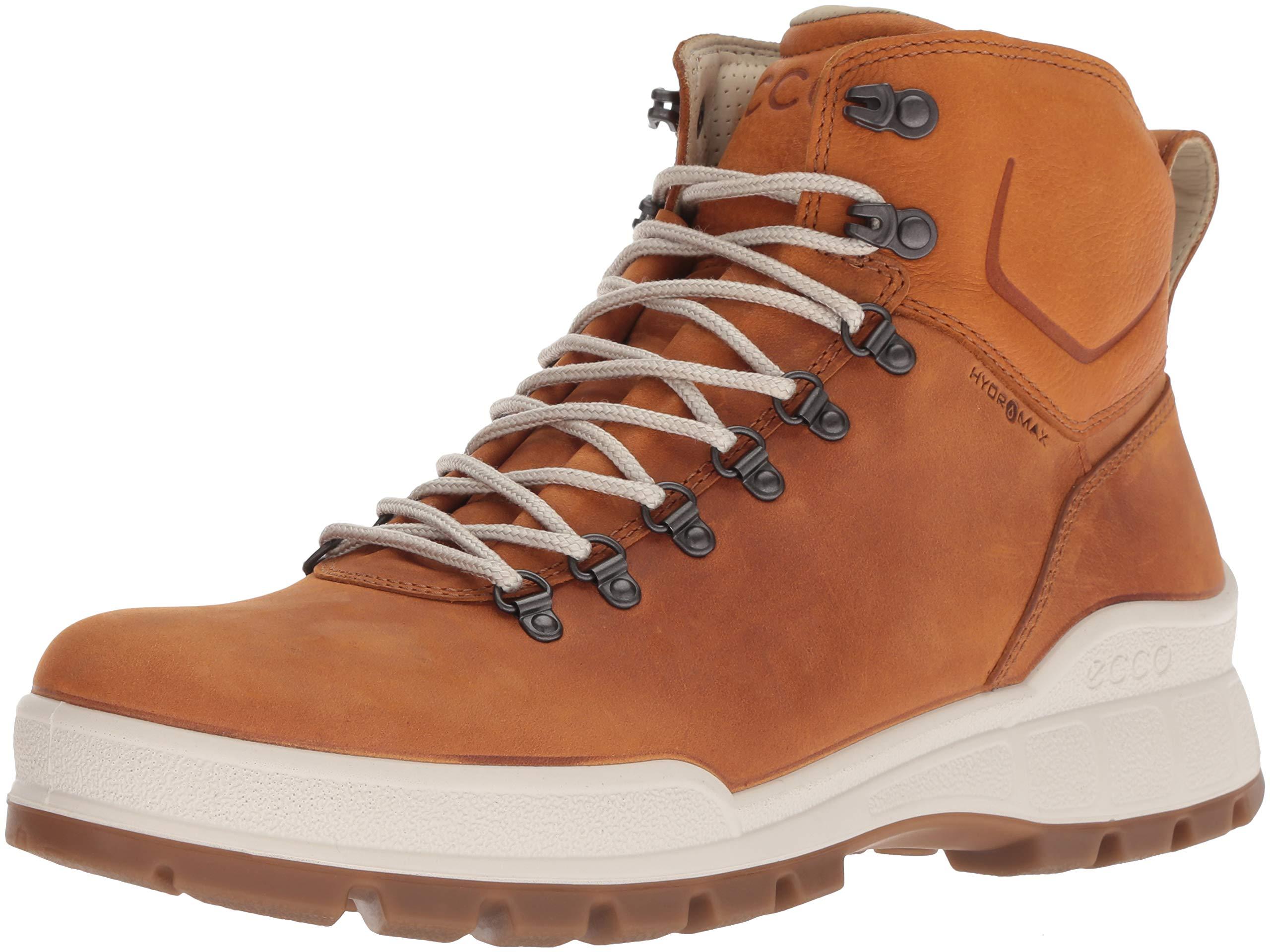 Ecco Leather Track 25 Hydromax Hiking Shoe in Amber (Brown) for Men Lyst
