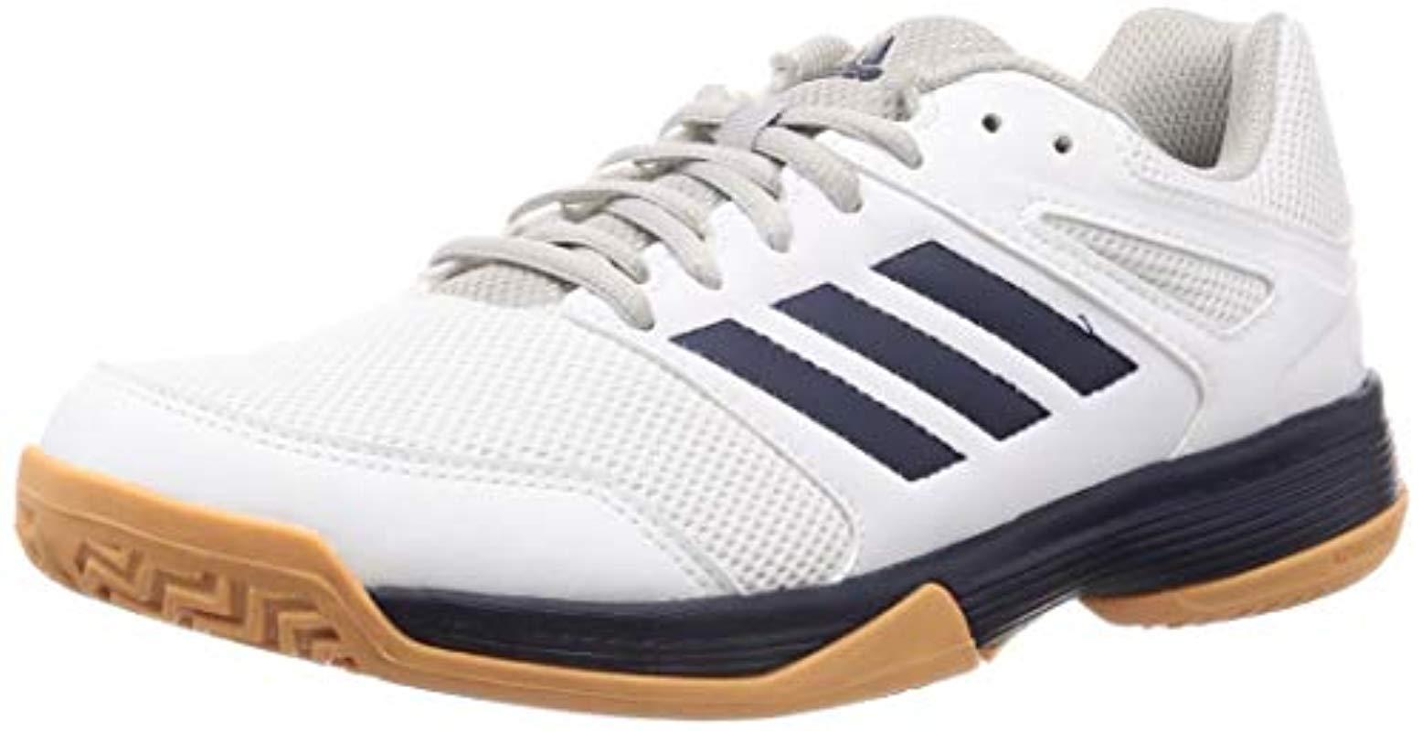 adidas Herren Performance Speedcourt Ef2623 Volleyballschuhe für Herren |  Lyst DE