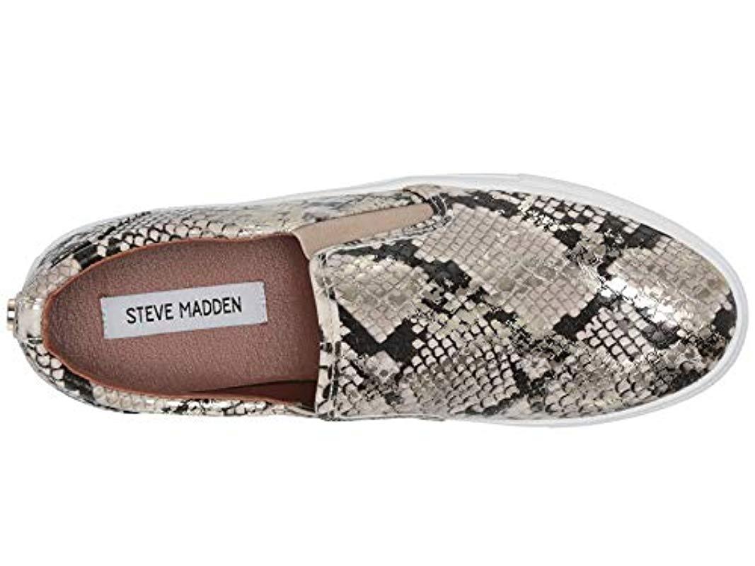 Steve madden amplify sneaker Clearance