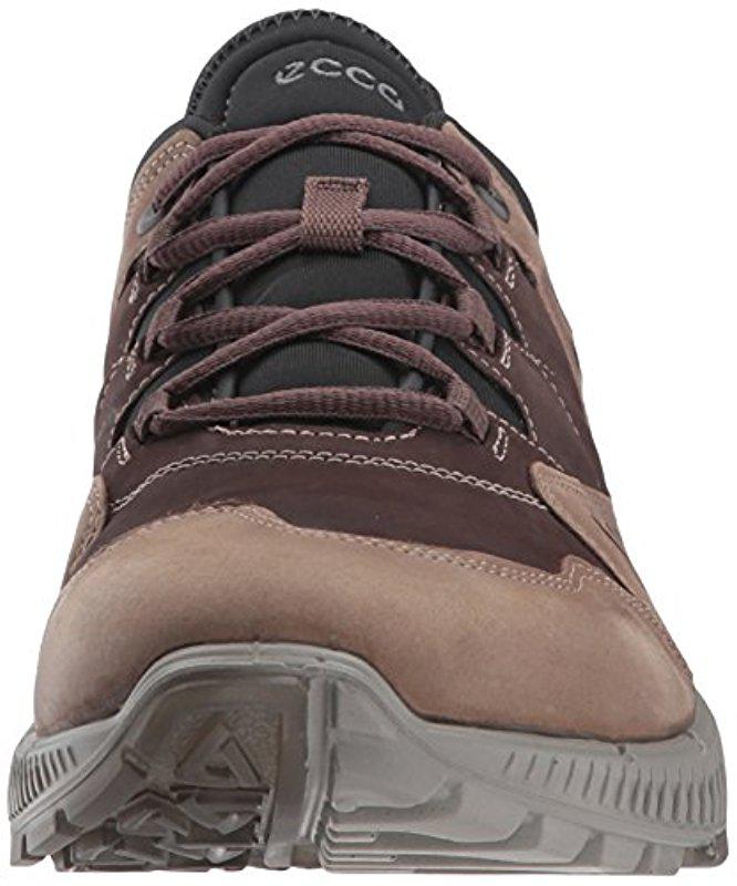ecco men's terrawalk hiking shoe