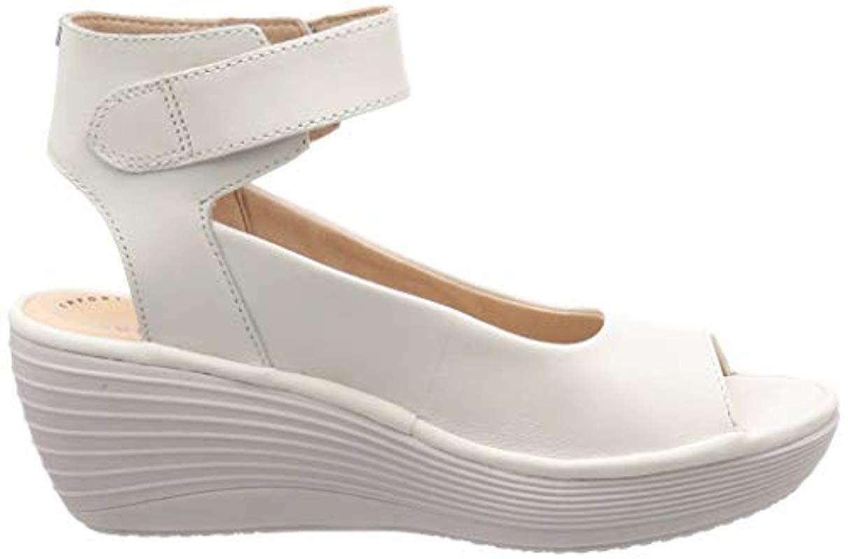 reedly willow clarks