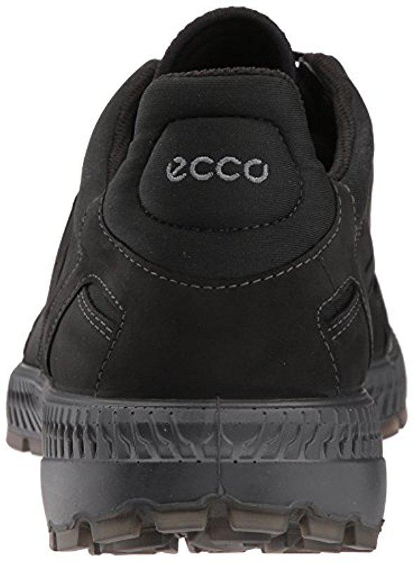 ecco terrawalk