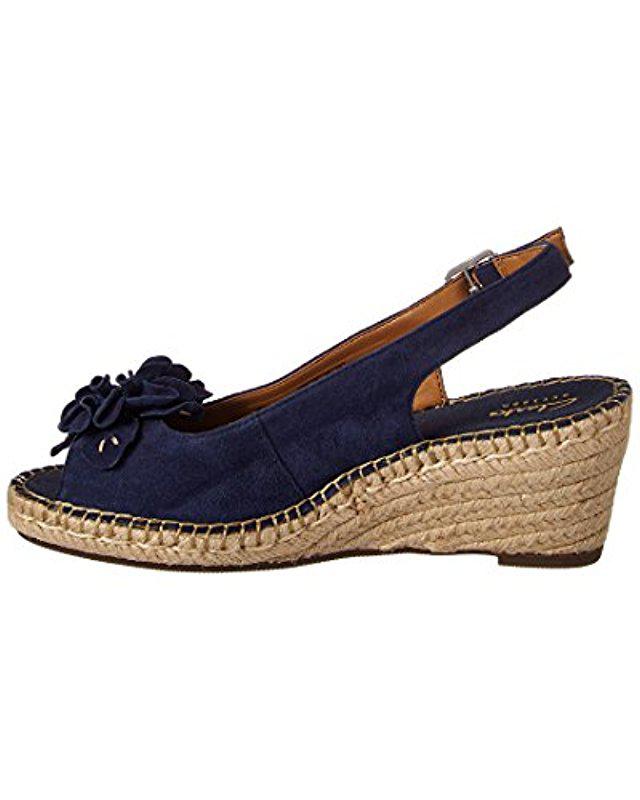 clarks petrina