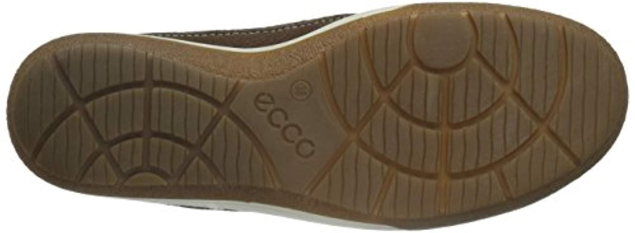 ecco chase