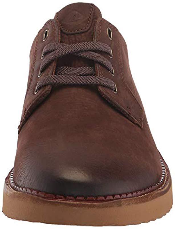sperry camden chukka