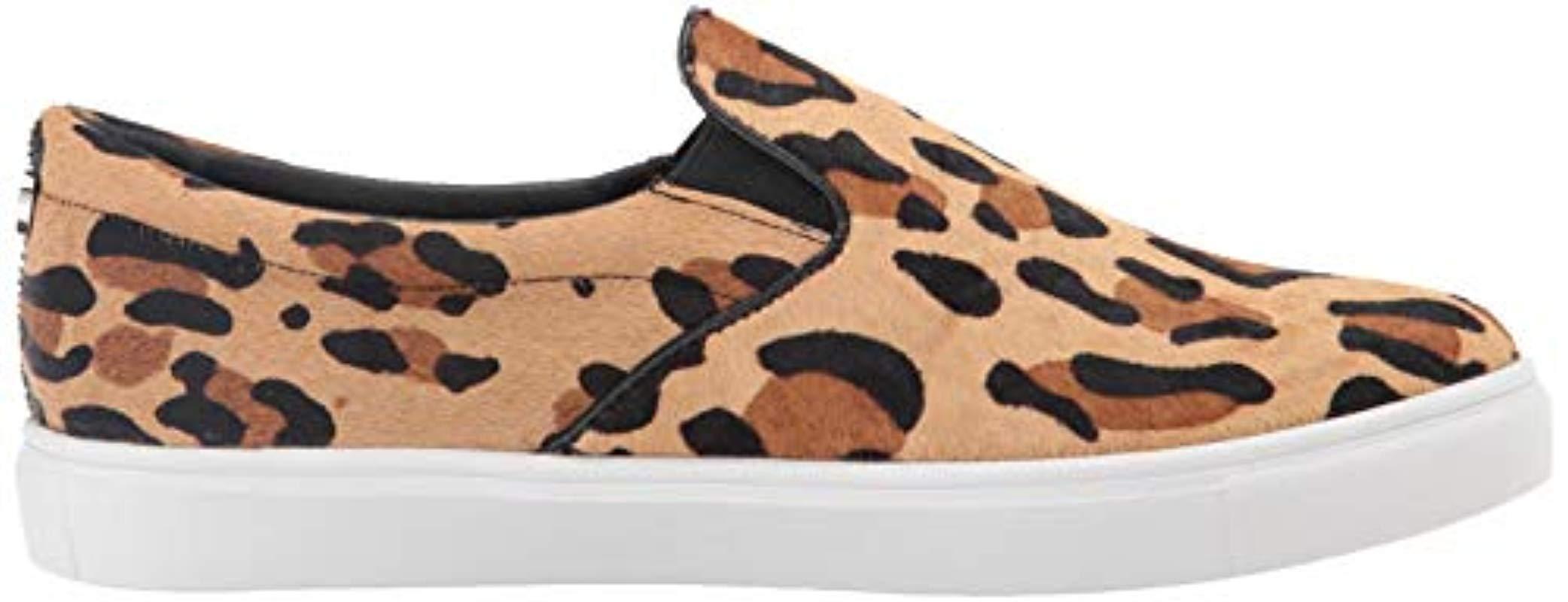 steve madden ecentrcl sneaker