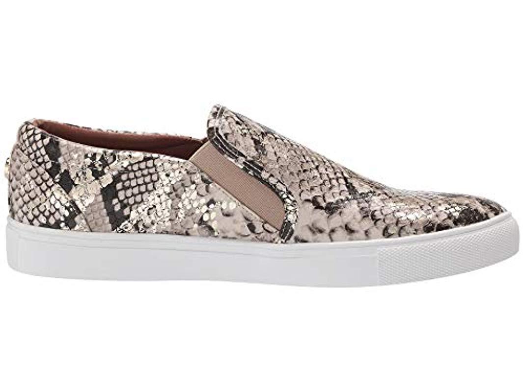 Steve madden amplify sneaker Clearance