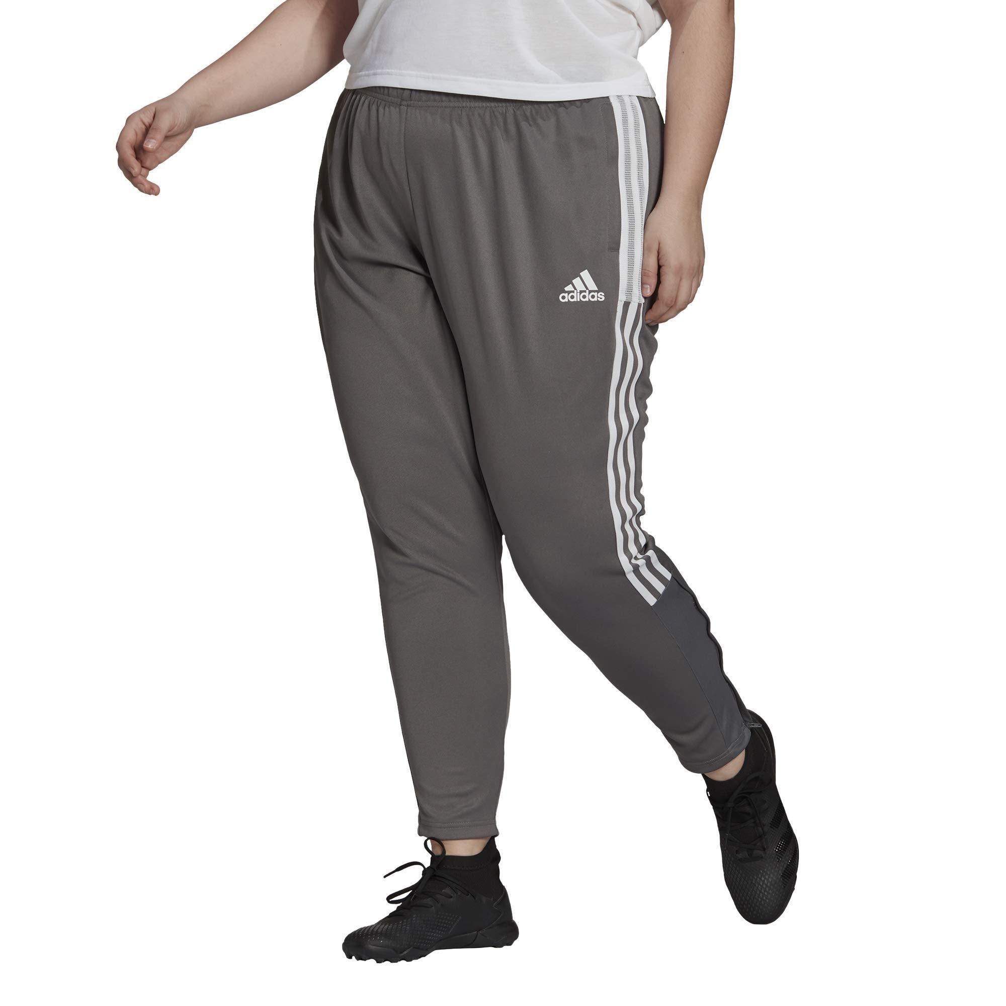 tiro pants womens