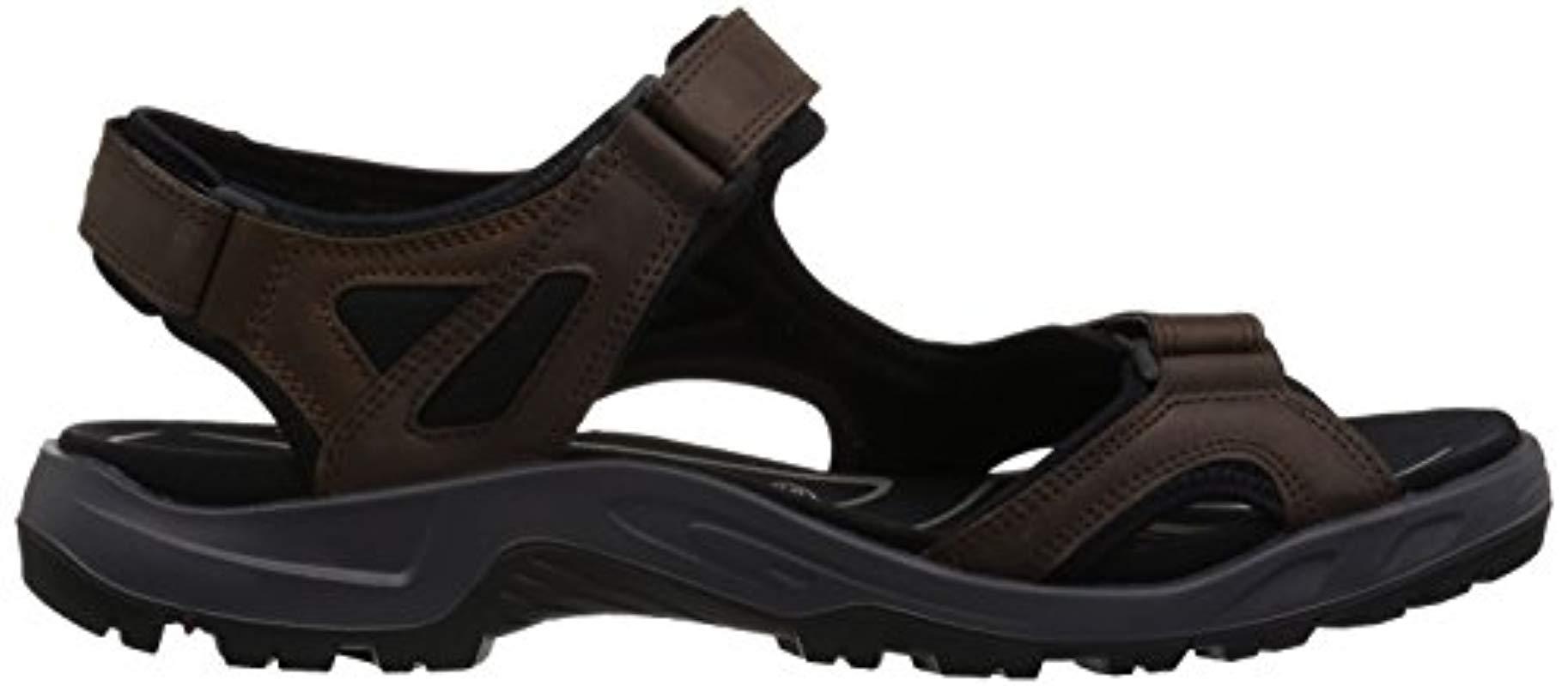 ecco performance offroad lite ii
