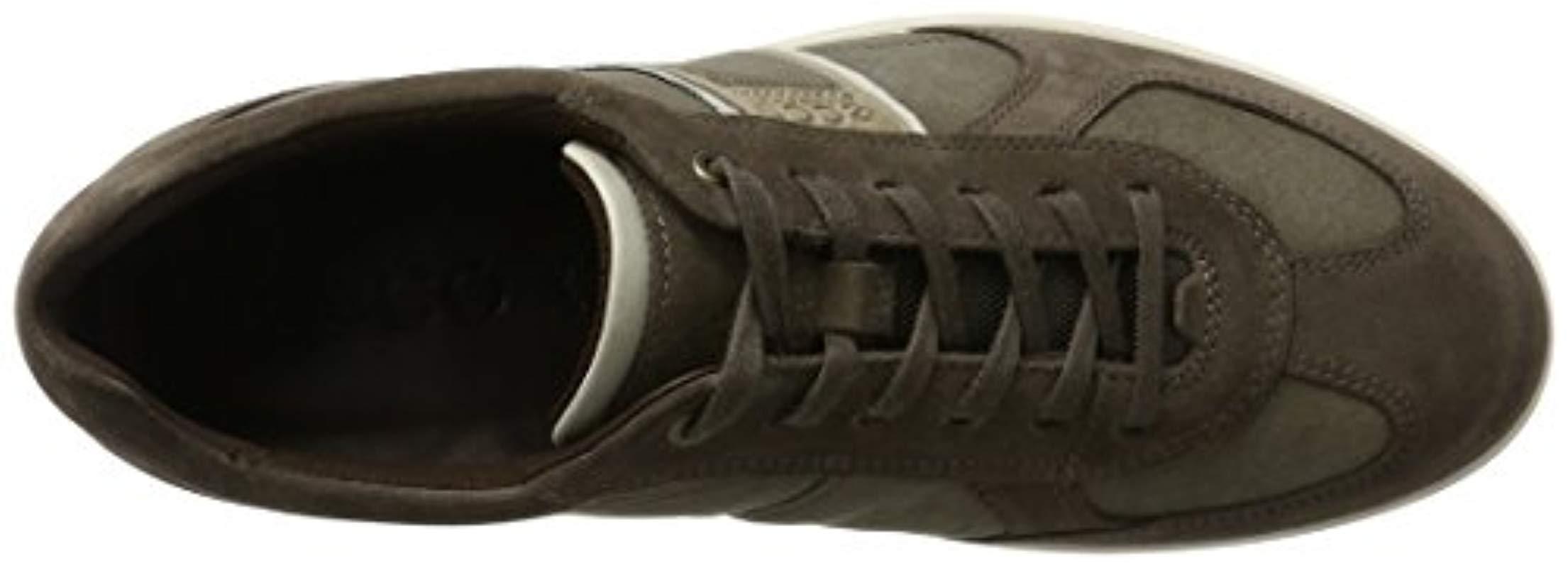 ecco indianapolis brown