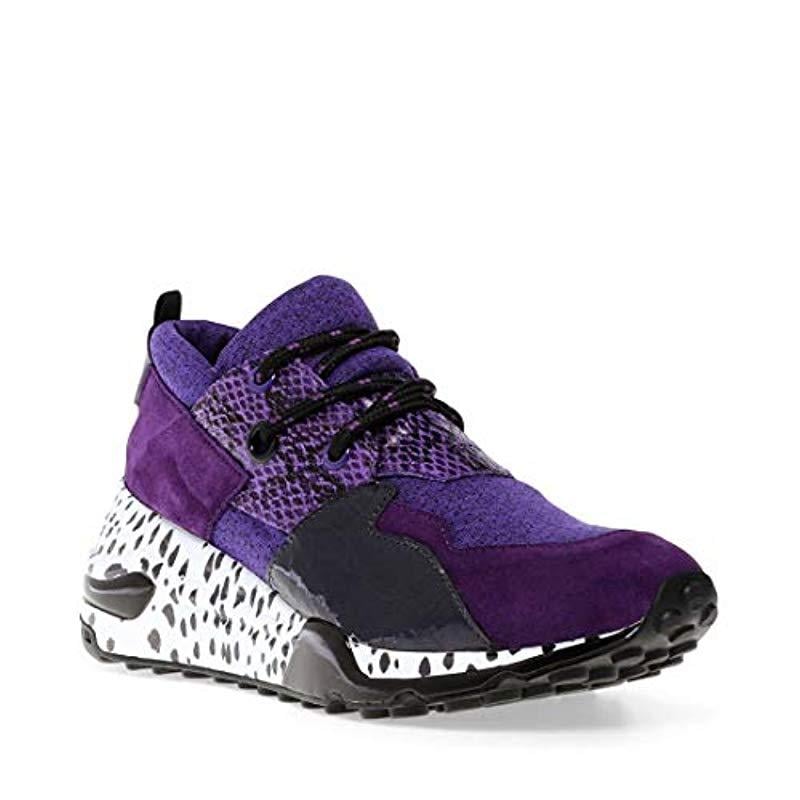 purple steve madden sneakers