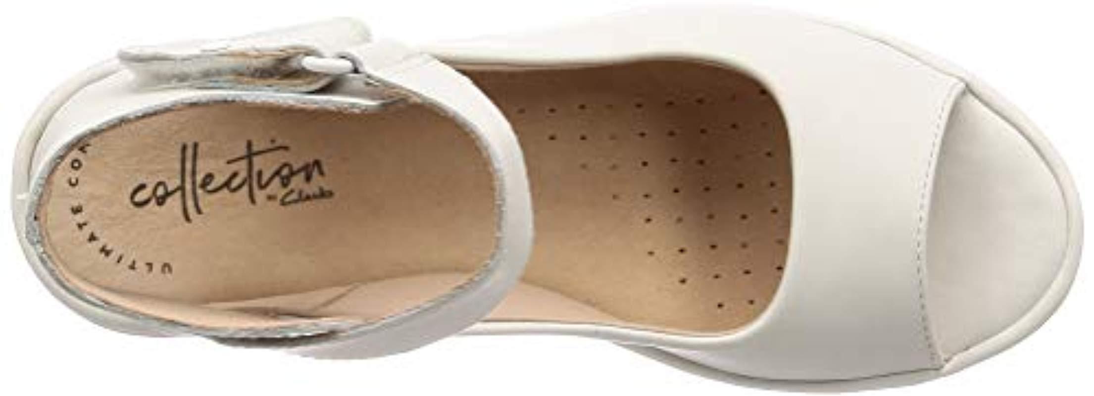 reedly willow clarks