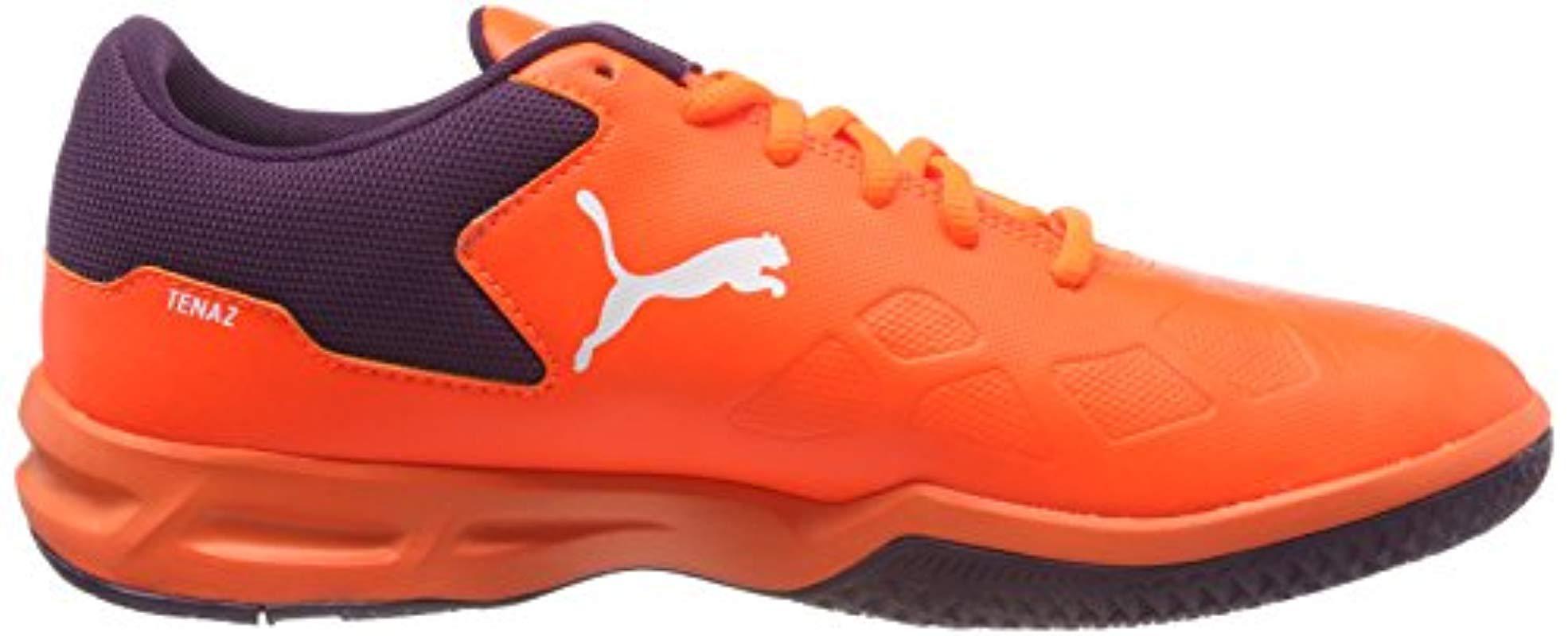 tenaz puma