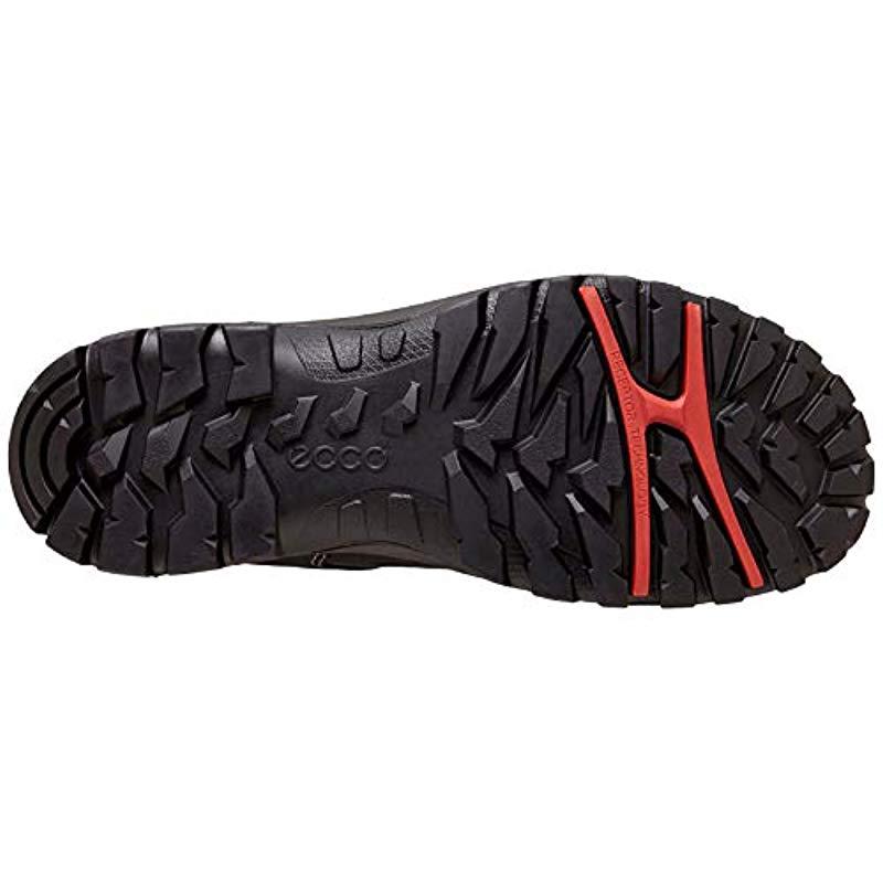 Xpedition Iii Hiking Shoe in Black for |