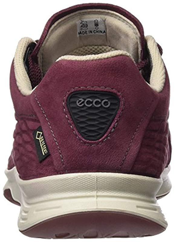 ecco exceed low
