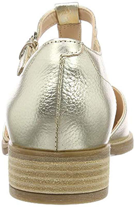 netley fresh clarks