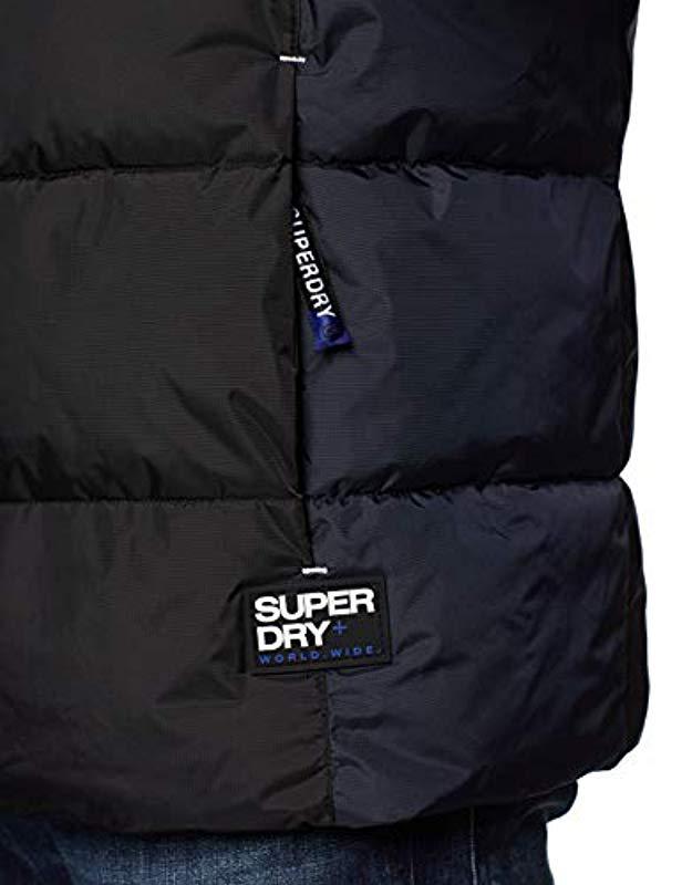 superdry albion