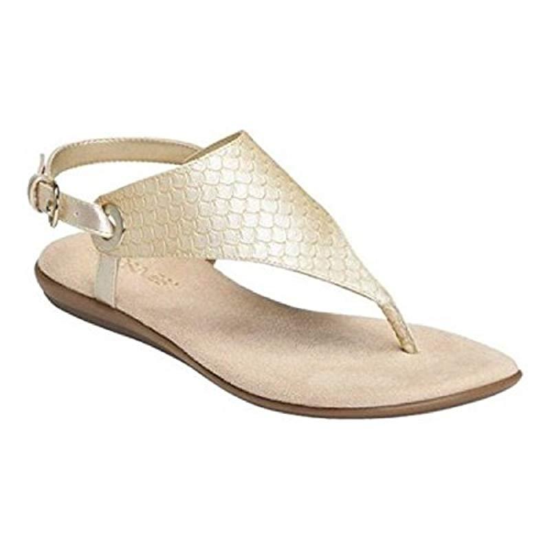 aerosoles women's conchlusion gladiator sandal