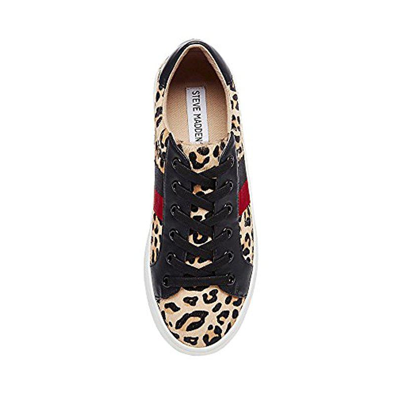 steve madden belle sneaker leopard