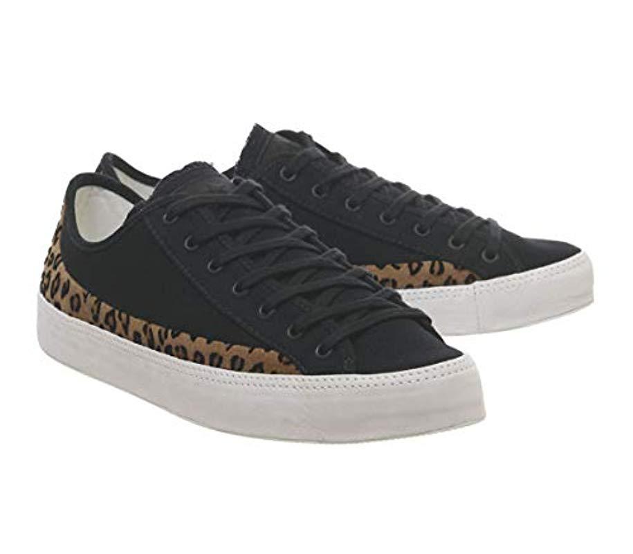 sasha ox converse