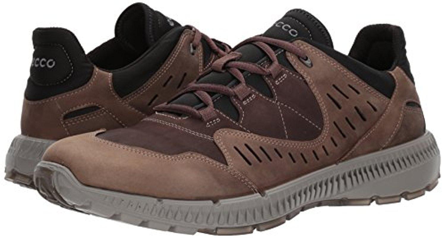 Ecco Leather Terrawalk Hiking Shoe in 