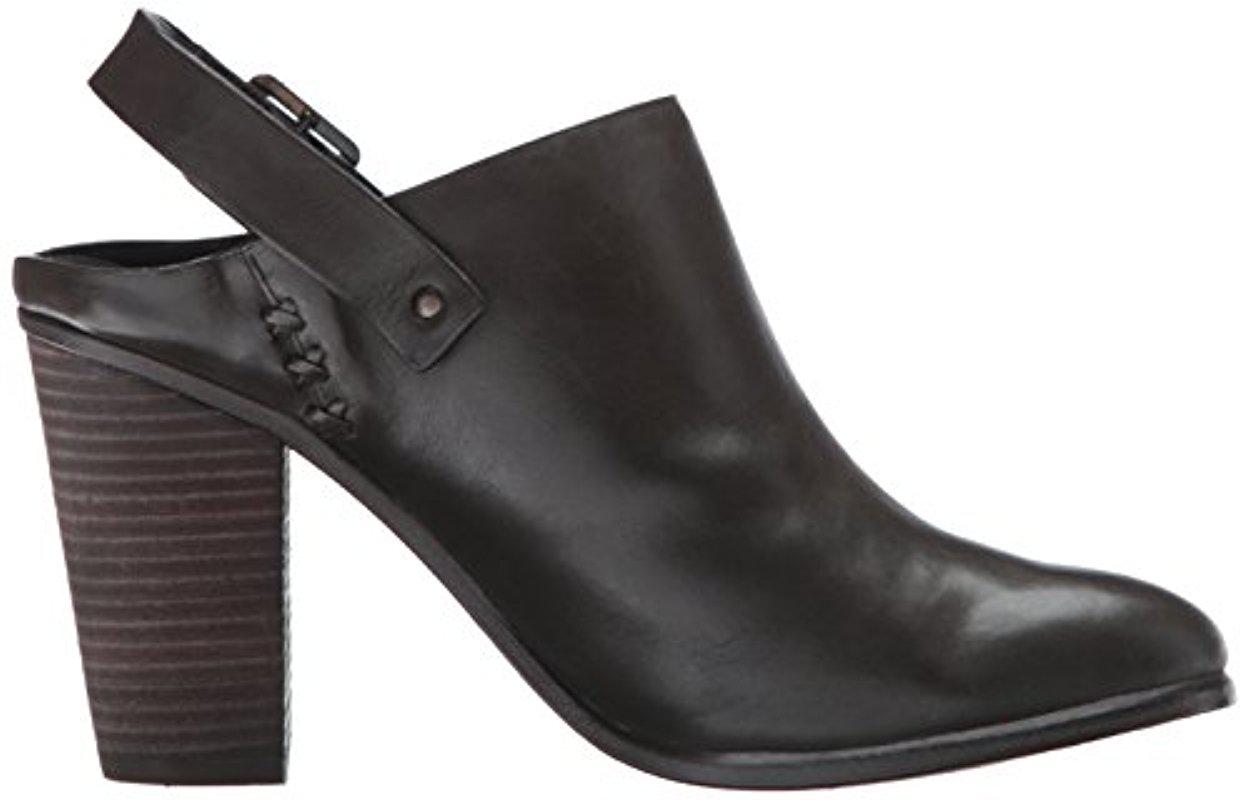 vince hedi mule