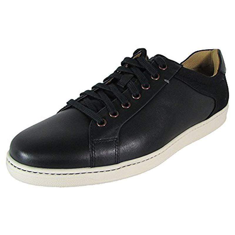 cole haan shapley sneaker