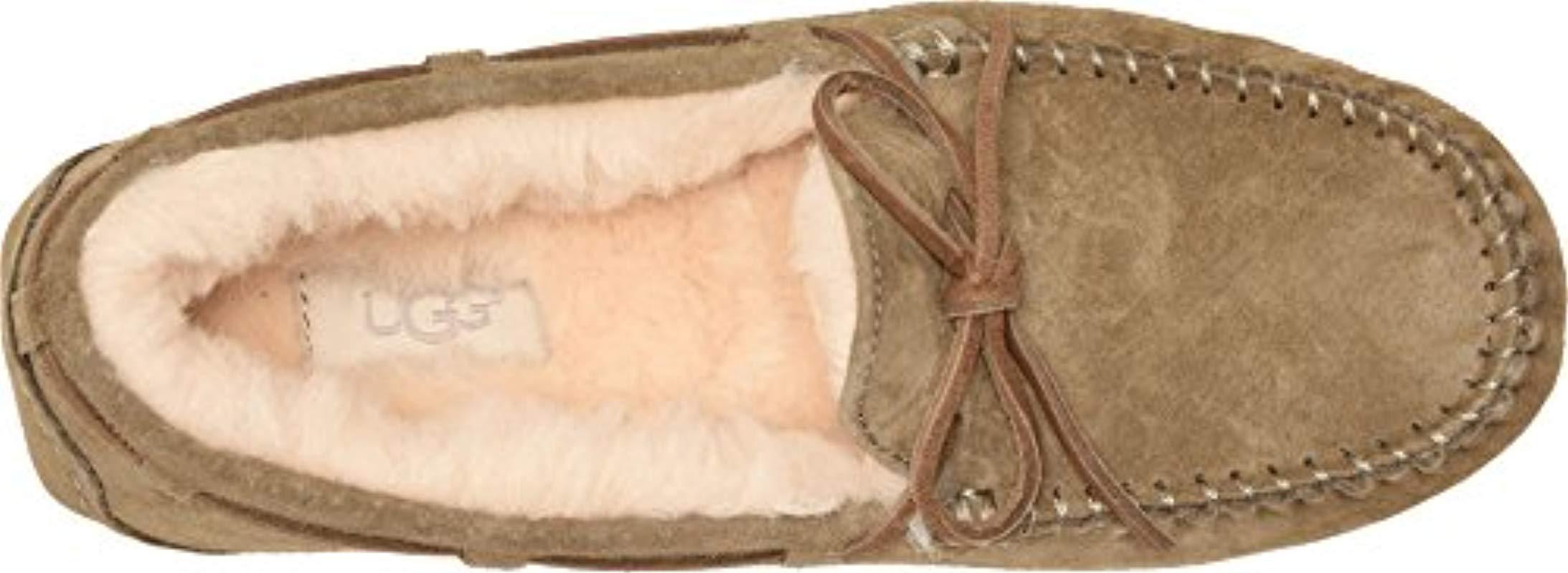 ugg dakota antilope