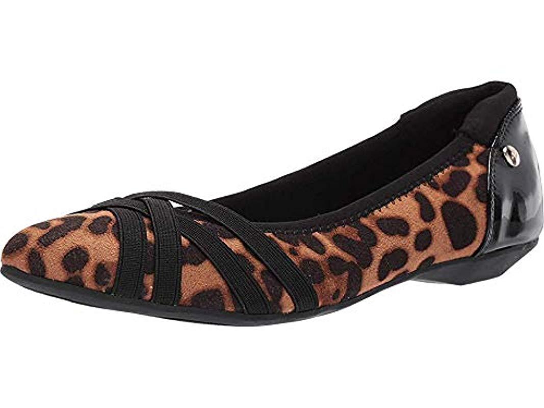 anne klein sport olizer