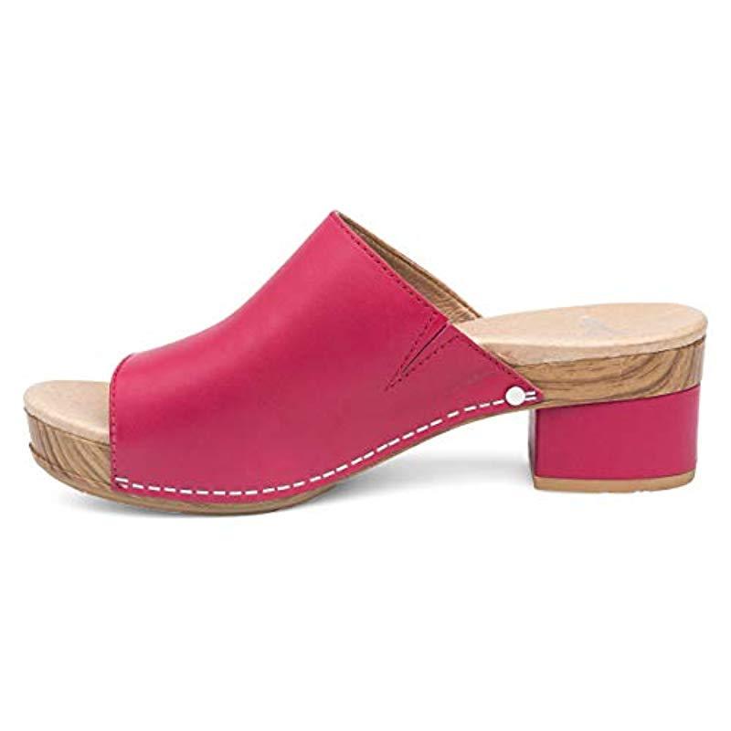 dansko maci raspberry