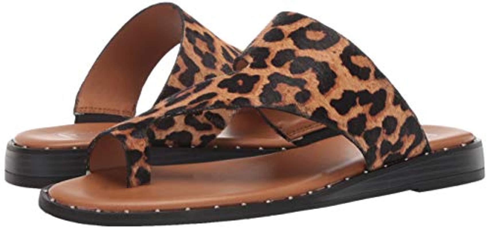 franco sarto ginny sandal