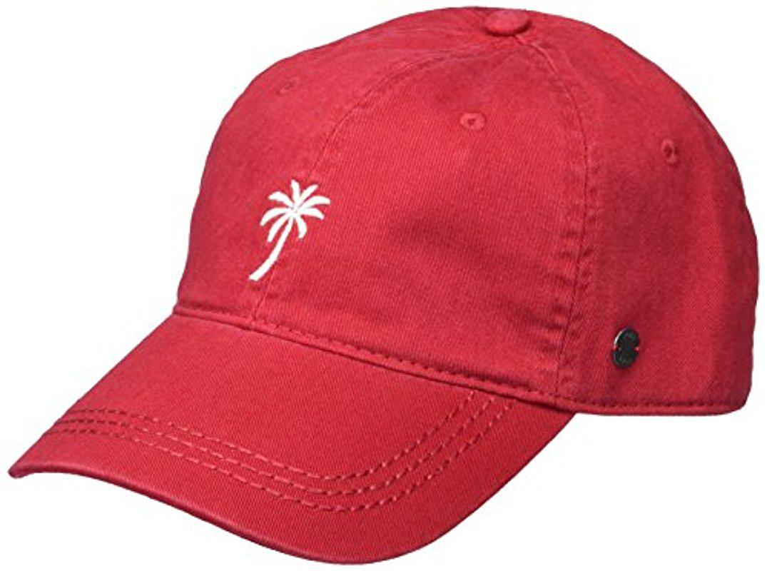 palm tree baseball hat