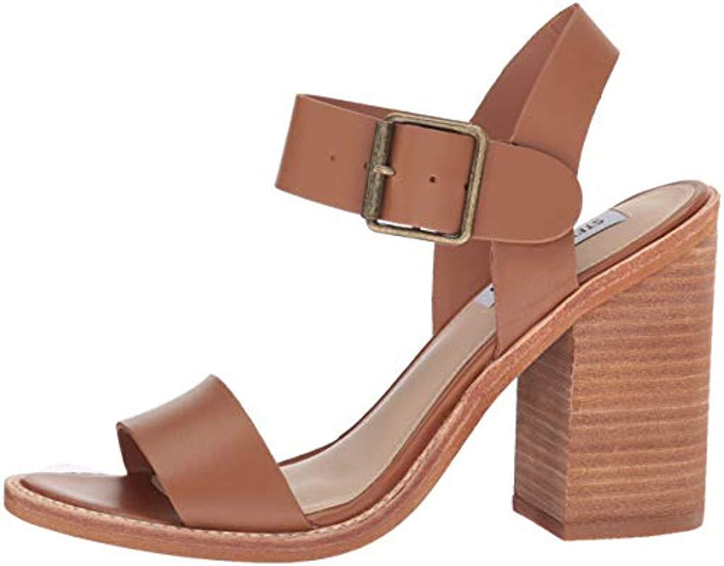 steve madden castro cognac